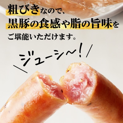 【 生活応援 + 厚切りハムステーキ切り落とし 1P 】 期間限定 鹿児島黒豚ウインナー10P