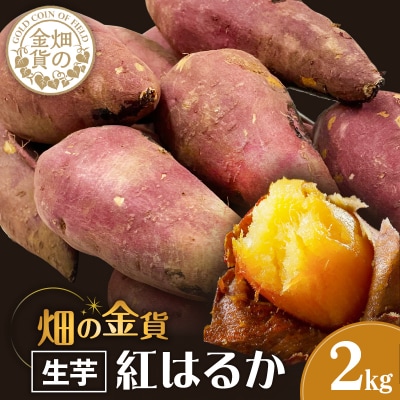 【2025年先行受付】畑の金貨 生芋 紅はるか2kg　K181-004