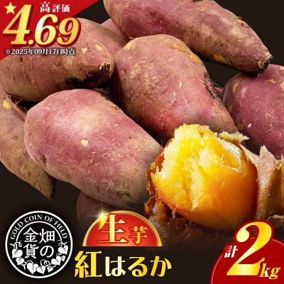 【2025年先行受付】畑の金貨 生芋 紅はるか2kg　K181-004