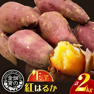 畑の金貨 生芋 紅はるか2kg　K181-004