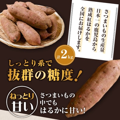 【2025年先行受付】畑の金貨 生芋 紅はるか2kg　K181-004