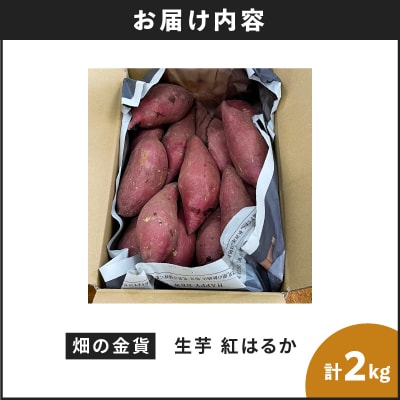 【2025年先行受付】畑の金貨 生芋 紅はるか2kg　K181-004