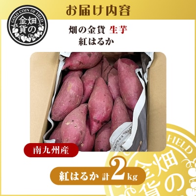 【2025年先行受付】畑の金貨 生芋 紅はるか2kg　K181-004