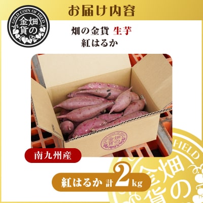 畑の金貨 生芋 紅はるか2kg　K181-004