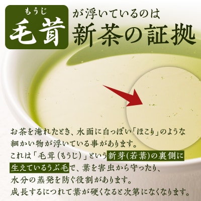 知覧茶新茶 かおる 2本セット【令和7年5月31日までの申込限定】　K110-005