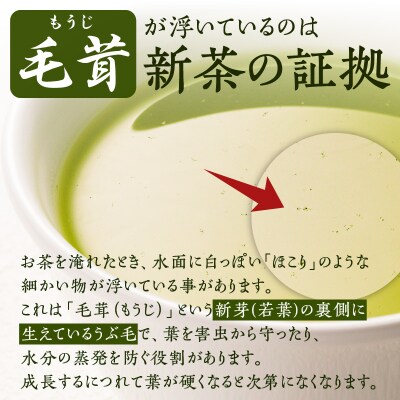 かごしま新茶ティーバッグ 30g(3g×10P)×3本【5月31日までの申込限定】　K110-008
