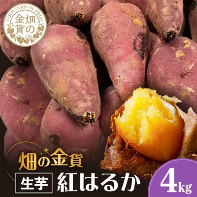 【2025年先行受付】畑の金貨 生芋 紅はるか4kg　K181-006