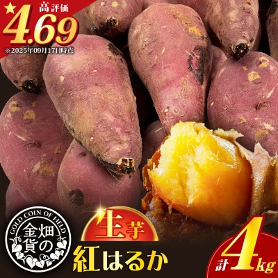 【2025年先行受付】畑の金貨 生芋 紅はるか4kg　K181-006