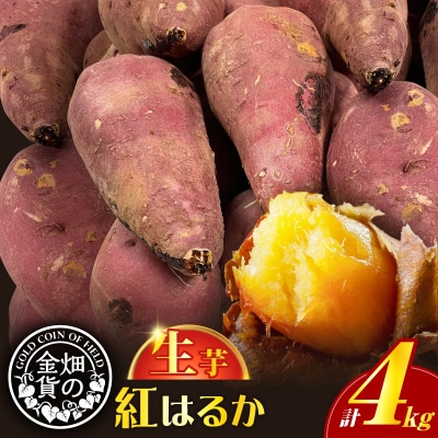 畑の金貨 生芋 紅はるか4kg　K181-006