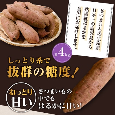 【2025年先行受付】畑の金貨 生芋 紅はるか4kg　K181-006