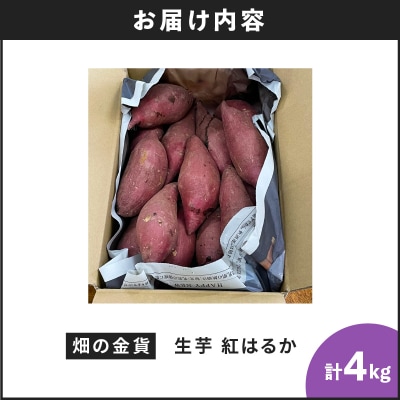 【2025年先行受付】畑の金貨 生芋 紅はるか4kg　K181-006