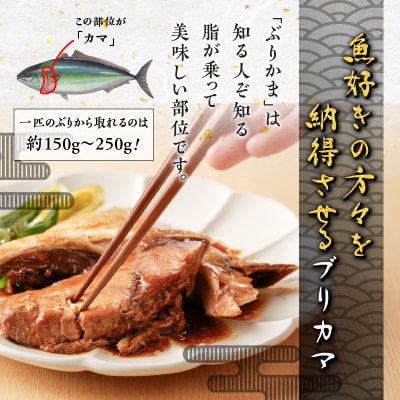 【山実水産】ブリアラ煮(レトルト)5パック入り　K046-002