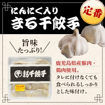 まる千餃子詰め合わせ 合計70個