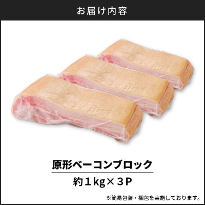 原形ベーコンブロック　約3kg　K161-019_03