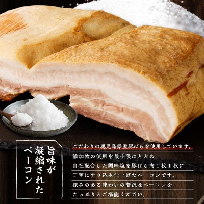 無塩せき乾塩ベーコンブロック　計約1kg　K161-020_01