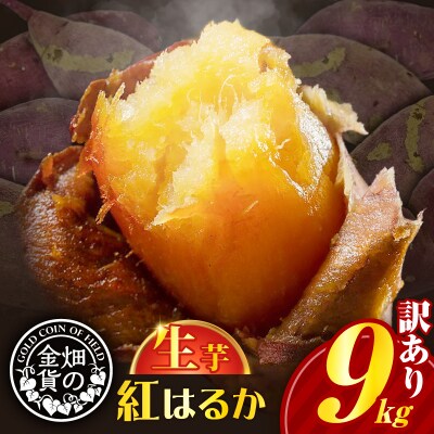 畑の金貨　生芋　訳あり紅はるか9kg　K181-007