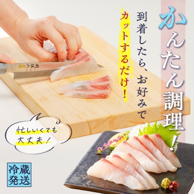 鹿児島産　スライスするだけ!カンパチ刺身用 1/4本 3～4人前　K100-006