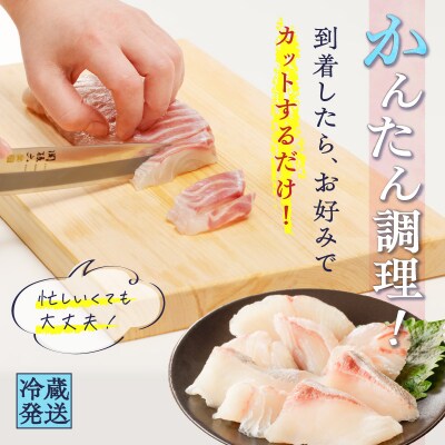 鹿児島産　スライスするだけ!真鯛(マダイ)刺身用 片身分 500g　K100-008