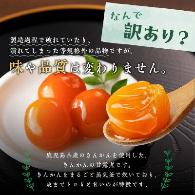 【訳あり】鹿児島県産きんかん甘露煮　500g　K032-004