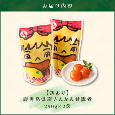 【訳あり】鹿児島県産きんかん甘露煮　500g　K032-004
