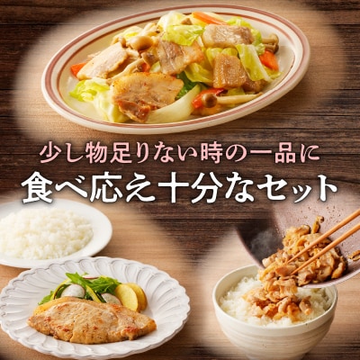 【 期間限定 生活応援 】【ナンチクファクトリー】鹿児島県産豚肉味付け3種(21食)