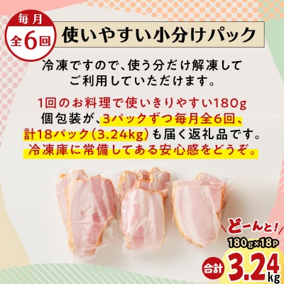 【全6回】切り落としベーコン定期便　K161-T01