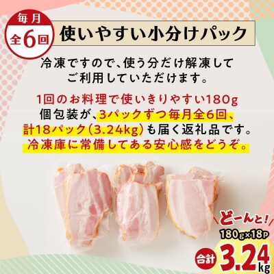 【全6回】切り落としベーコン定期便　K161-T01