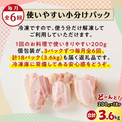 【全6回】切り落としベーコン定期便　K161-T01