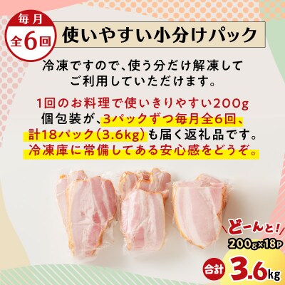 【全6回】切り落としベーコン定期便　K161-T01