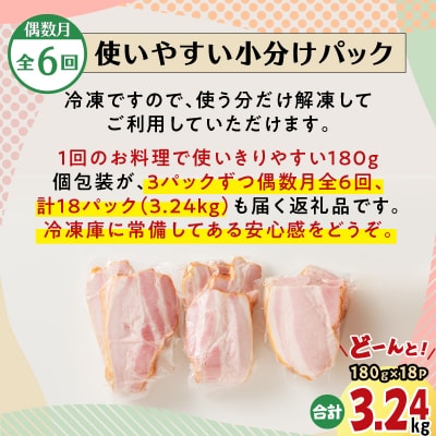 【全6回偶数月】切り落としベーコン定期便　K161-T02