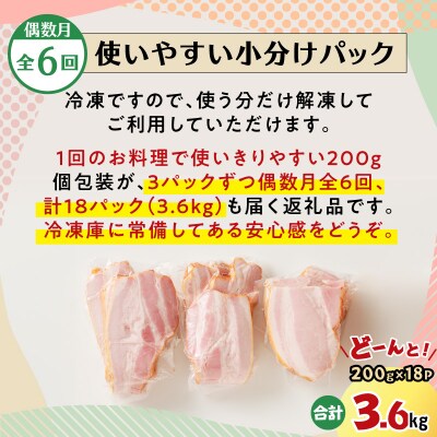 【全6回偶数月】切り落としベーコン定期便　K161-T02