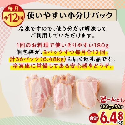 【全12回】切り落としベーコン定期便　K161-T03