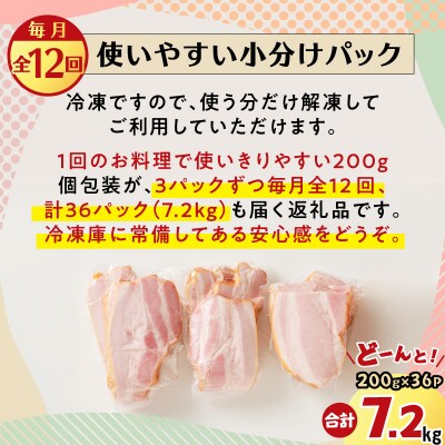【全12回】切り落としベーコン定期便　K161-T03