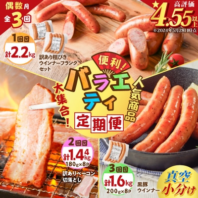 【全3回偶数月】バラエティ定期便　K161-T04