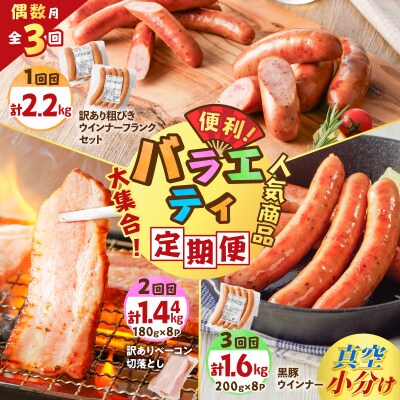【全3回偶数月】バラエティ定期便　K161-T04