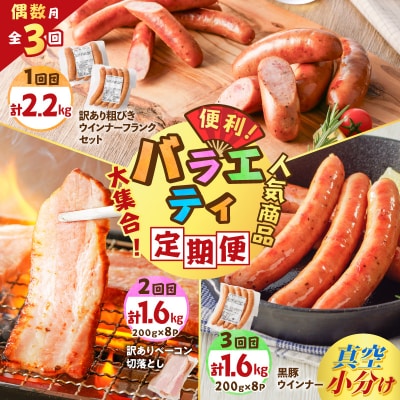 【全3回偶数月】バラエティ定期便　K161-T04