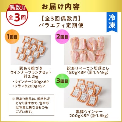 【全3回偶数月】バラエティ定期便　K161-T04