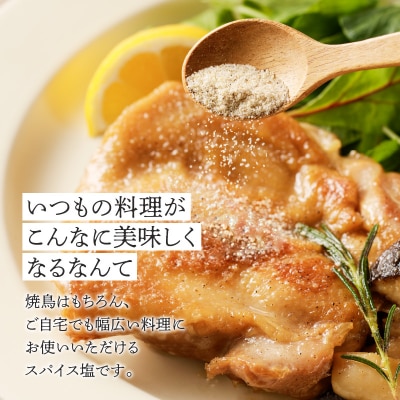 旨味引き立つ焼き鳥屋さんのspice　4種　K207-003
