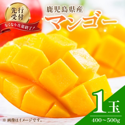 なくなり次第終了!【先行受付】マンゴー 1玉　K251-001