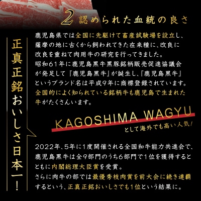 鹿児島県産 黒毛和牛スライス(ブリスケット)500g　K151-001