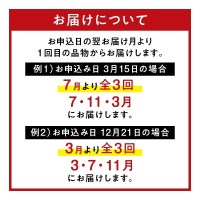 【全3回】バラエティ定期便(3・7・11月お届け)　K161-T05
