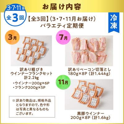 【全3回】バラエティ定期便(3・7・11月お届け)　K161-T05