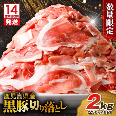 【14営業日以内に発送】 【数量限定】鹿児島県産 黒豚切り落とし 2kg　K025-001_04