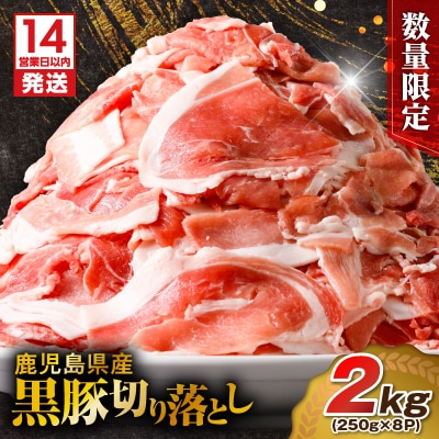  【14営業日以内に発送】【数量限定】鹿児島県産黒豚切り落とし 2kg　K025-001_04_cp