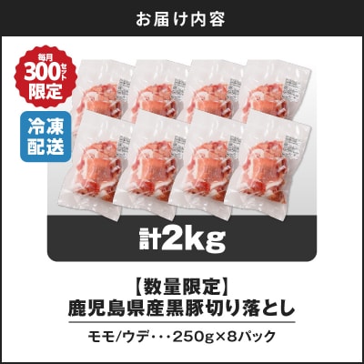  【14営業日以内に発送】【数量限定】鹿児島県産黒豚切り落とし 2kg　K025-001_04_cp