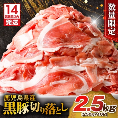 【 期間限定 生活応援 】【14営業日以内に発送】 【数量限定】鹿児島県産 黒豚切り落とし2.5kg
