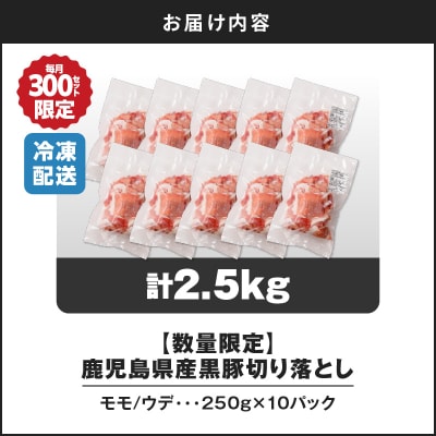 【 期間限定 生活応援 】【14営業日以内に発送】 【数量限定】鹿児島県産 黒豚切り落とし2.5kg