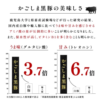 【10営業日以内に発送】鹿児島黒豚・熟成魚節出汁しゃぶセット　K265-002