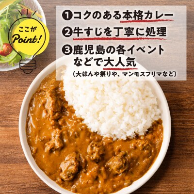 【7営業日以内に発送】牛すじカレー 2kg　K008-006