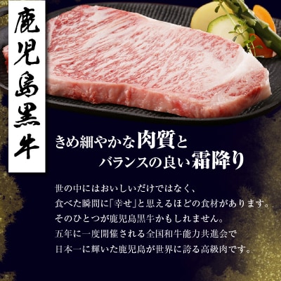 鹿児島黒牛サーロインステーキセット 計800g(T-1801)　K127-006